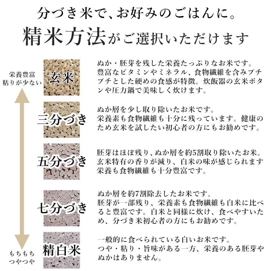 新米 米 お米 5kg 特別栽培米 いちほまれ 福井県 福井県産 玄米 5キロ お米マイスターが選ぶ米 令和5年度 米5kg 選べる 精米 3分 5分 7分 白米