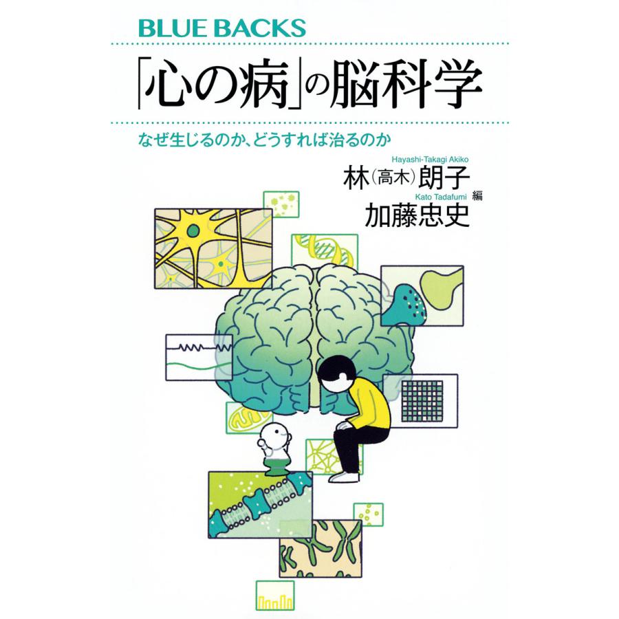 心の病 の脳科学 なぜ生じるのか,どうすれば治るのか