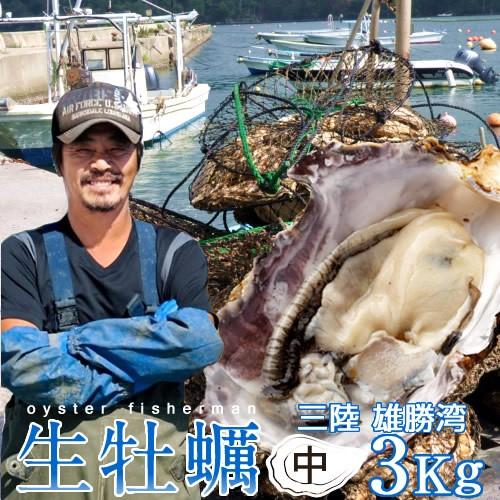 カキ 牡蠣 生牡蠣 殻付き 3kg 中 生食用 生ガキ 宮城県産 三陸漁師 格安 産地直送 お取り寄せ バーベキュー［お歳暮 2023 ギフト 魚 御歳暮］