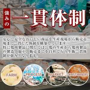 ふるさと納税 A0-271 九州産！若どり冷凍もも切身(400g×6袋・計2.4kg) 鹿児島県霧島市