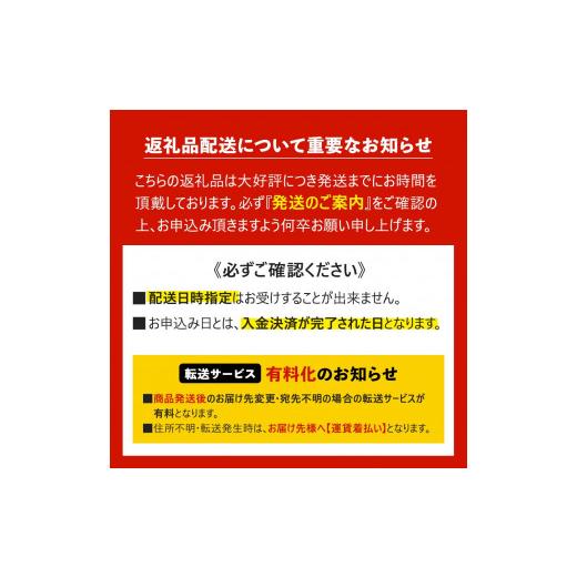 ふるさと納税 鹿児島県 大崎町 鹿児島県産うなぎ長蒲焼4尾