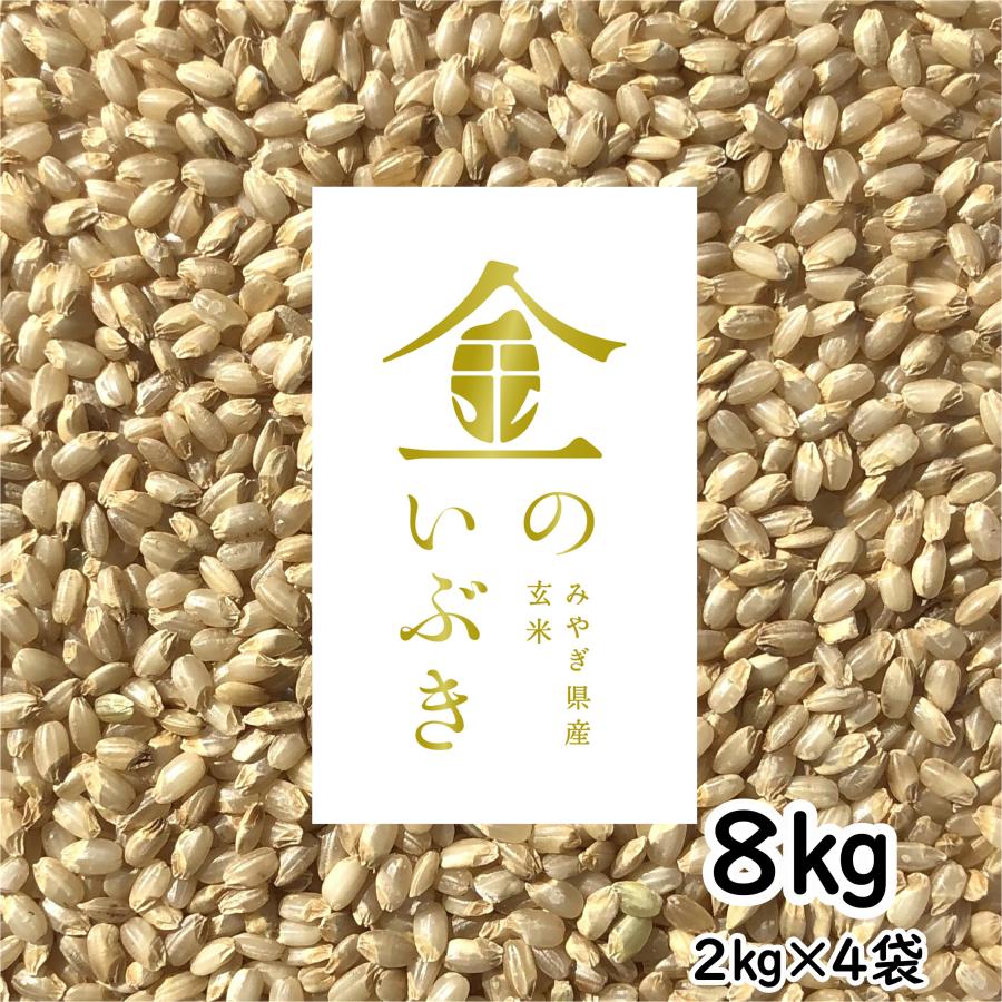 金のいぶき 玄米 8kg 令和4年産 玄米ダイエット 玄米食専用米 宮城県 2kg×4袋