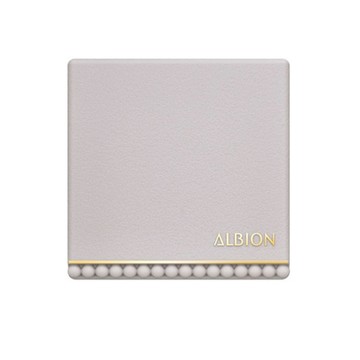Albion studio case case with p brush