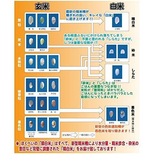 新米　令和３年産　ふっくりんこ　産地サミット公認品　白米　10kg　北海道産　(5kg×2袋)