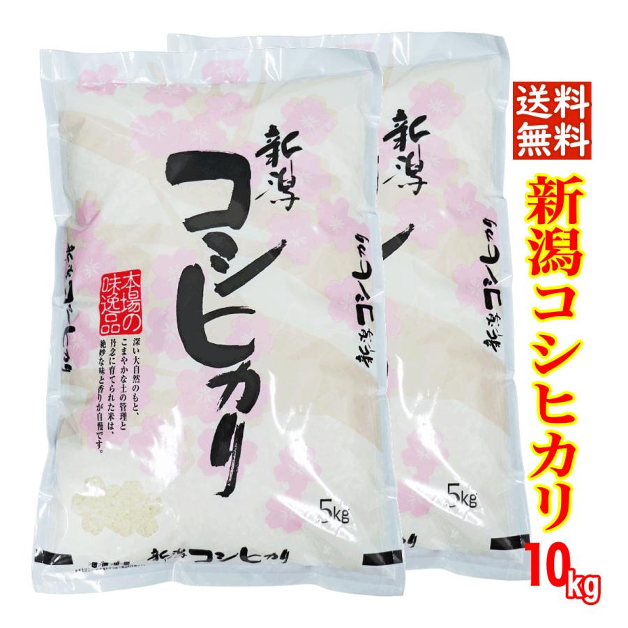 五ツ星お米マイスター厳選 新米 令和5年産 新潟県産 コシヒカリ 10kg (5kg×2) 白米（食味分析80点以上）精米仕立て 産地直送 低温倉庫管理 お米 10kg 米 新潟米