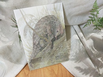穿山甲-臺灣特有動物系列-特有亞種 台灣 明信片