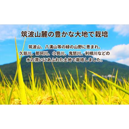 ふるさと納税 令和5年産 茨城県産 コシヒカリ 精米 10kg (5kg×2袋) ※離島への配送不可 茨城県土浦市