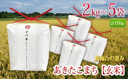 秋田県産 あきたこまち 玄米 10kg（2kg×5袋）神宿る里の米「ひの米」（お米 小分け）