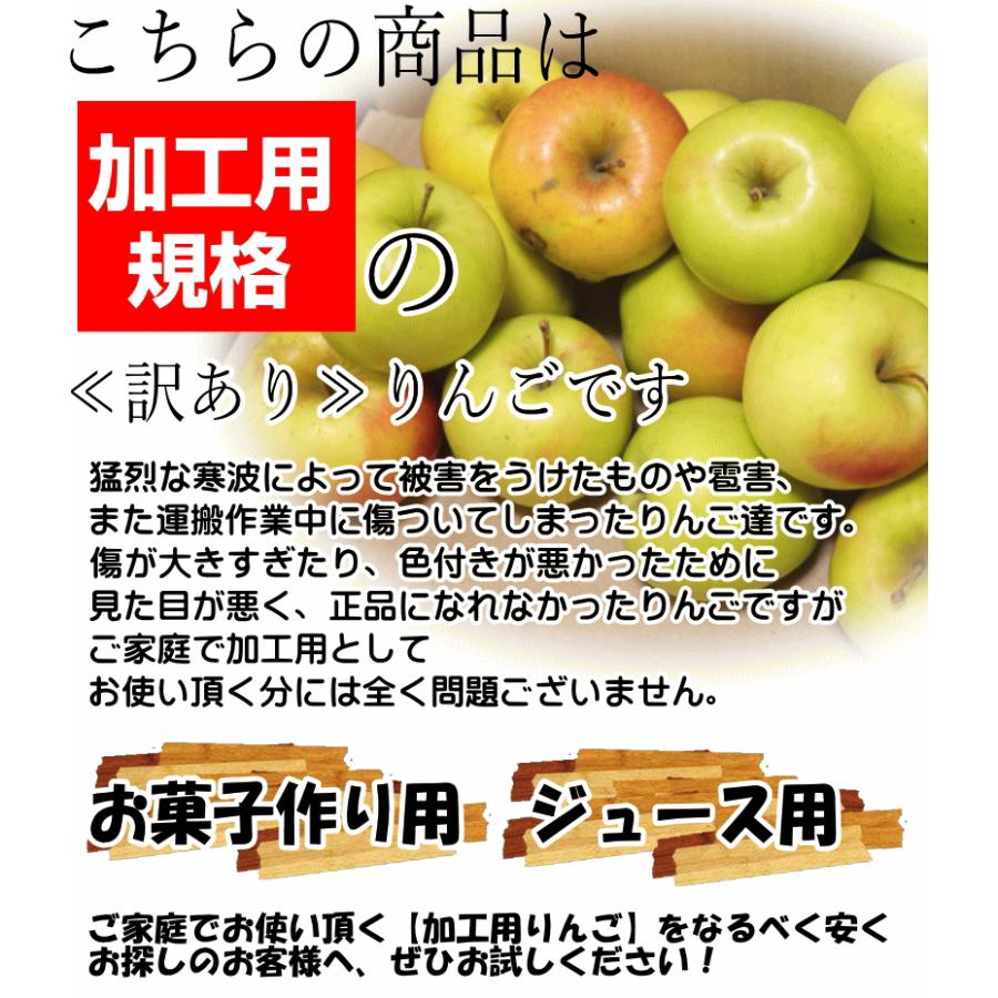 あすつく 青森 りんご 10kg箱 訳あり 加工用 選べる品種 送料無料 あすつく リンゴ 10キロ箱★品種選べる 加 10kg箱