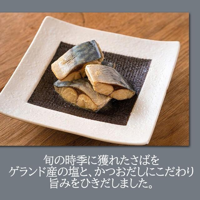 魚 国産  さばの水煮 120g×１０袋 保存料・化学調味料不使用