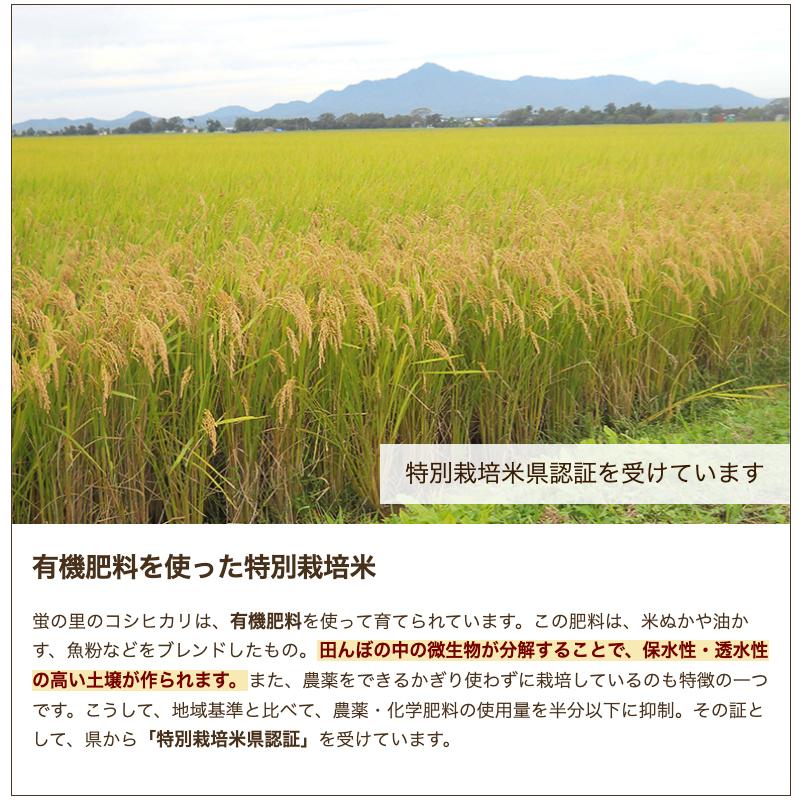 特別栽培米（減農薬・減化学肥料）新潟県産コシヒカリ 精米5kg 株式会社 蛍の里 のし無料 送料無料