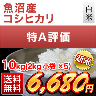 新米 令和5年(2023年)産  新潟県魚沼産 コシヒカリ〈特A評価〉10kg(2kg×5袋）