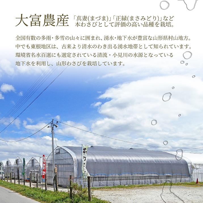 わさびギフトセット 山形県産 産地直送 わさび わさび専門ハウス直送 新鮮 採れたて 業務用ＯＫ 寿司 刺身 和牛 和食 本格 和食 wasabi父の日 母の日 お歳暮