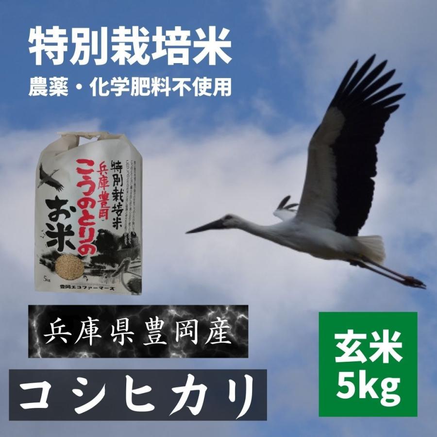 令和5年新米 コシヒカリ 豊岡産 無農薬玄米  玄米5kg　農薬不使用 化学肥料不使用　特別栽培米　コウノトリ育むお米