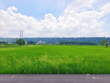 后里農地方正平坦小田田/出價來談｜台中市后里區新公館段
