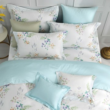 雙人兩用被套加大床包組/ SUPIMA匹馬棉 / 500織 / 溫斯特 [鴻宇] 台灣製 2320