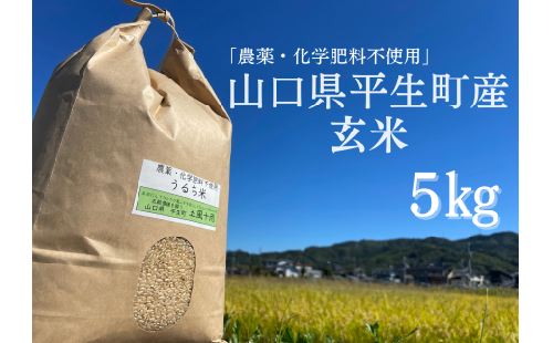 農薬化学肥料不使用　山口県産