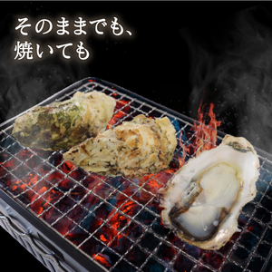 生食用 殻付冷凍牡蠣 5個 ほや 180g×2袋 セット 冷凍 産地直送 生食用 殻付 かき カキ ホヤ 三陸産 国産 海鮮 生食用ホヤ 冷凍ホヤ