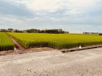 ⭕️新港⭕️香藝館旁農地(專約)E038｜嘉義縣新港鄉菜公厝段菜公小段