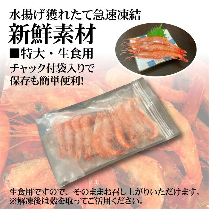 日本海産 特大 甘海老 生食用 10尾  エビ 海老 海鮮 海産物