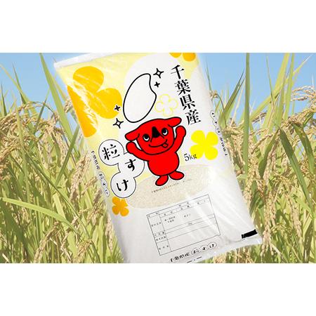 ふるさと納税 令和5年 千葉房総産「粒すけ」15kg（5kg×3袋）精米 千葉県富津市