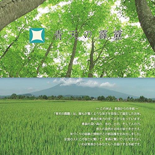 青天の霹靂　1０kg (5kg×2袋) 青森県産 白米 令和4年産