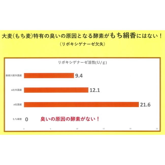 栃木県産もち麦 もち絹香 500g×10個セット もち麦 雑穀 ダイエット 国産 もち麦ご飯 もち麦ごはん もちむぎ 日本製 国産もち麦 プレゼント ギフト