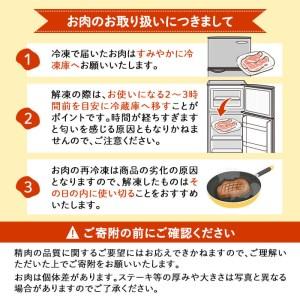 ふるさと納税 鹿児島黒豚バラエティセット＜計1.2kg＞ a6-019 鹿児島県志布志市