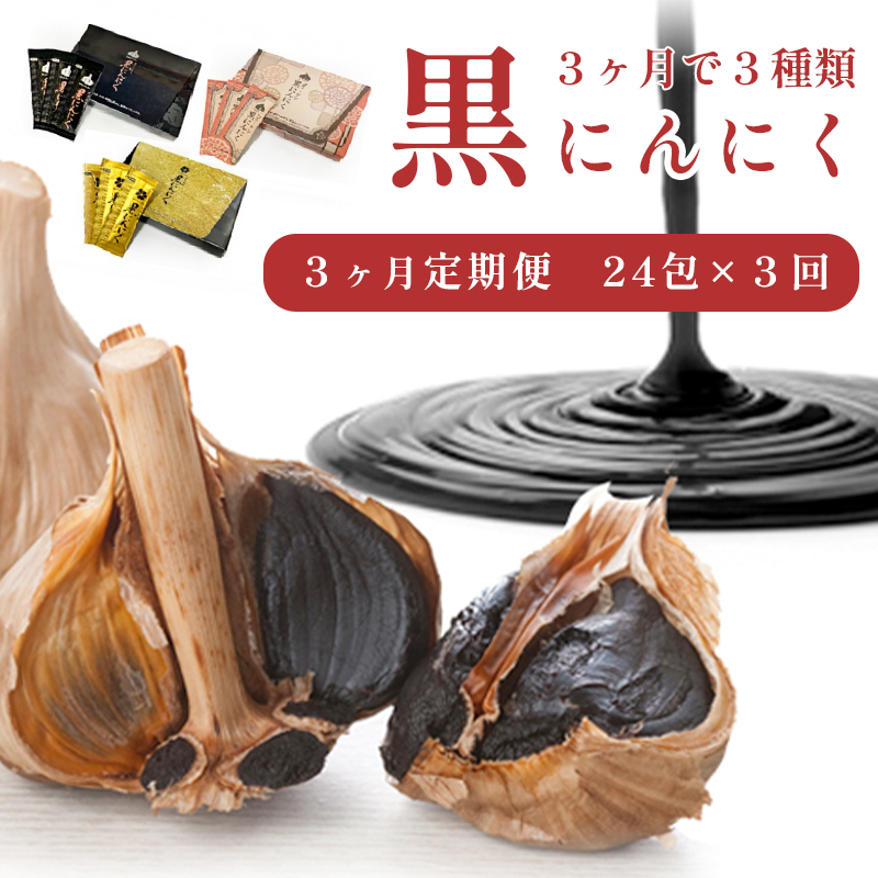 黒にんにく ペースト 24包×3回 3ヶ月 玄米核酸 コラーゲン ガツンと！大蒜 舞鶴産黒ニンニク