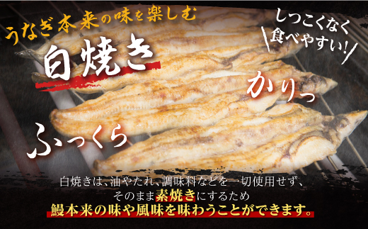 鹿児島県産うなぎカット白焼き6袋 計300g以上（パック個包装）