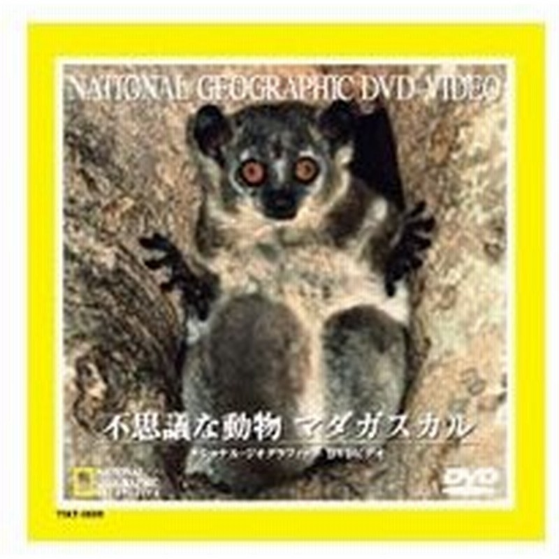 Dvd ナショナル ジオグラフィック 不思議な動物 マダガスカル 通販 Lineポイント最大0 5 Get Lineショッピング