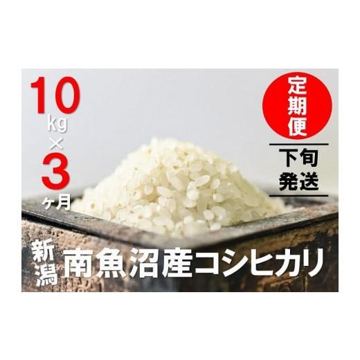 ふるさと納税 新潟県 南魚沼市 10kg×3ヶ月　南魚沼産コシヒカリ