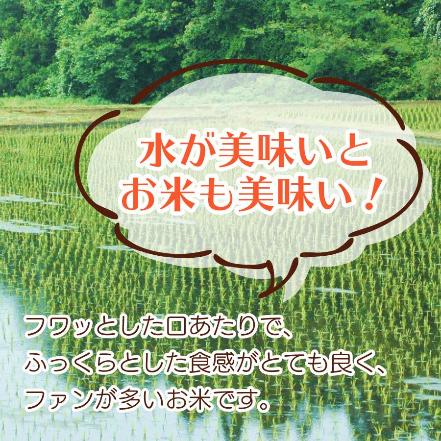 ＜新米＞白米 令和５年産 鳥取コシヒカリ 5kg 鳥取県産 送料無料 国産 ギフト お米 お取り寄せ お試し 御中元 お歳暮 御歳暮 敬老の日 御礼 誕生祝い 御祝