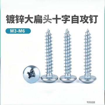 [24時熱賣]自攻螺絲 螺絲鍍鋅大扁頭十字自攻釘大傘頭蘑菇頭自攻螺絲釘M3-M6 Y3TA