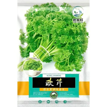 歐美原裝進口根芹菜種子 塊根芹 球根芹 台灣現貨 蔬菜種籽 盆栽 家庭菜園 食用根部 耐寒好種 當季可播