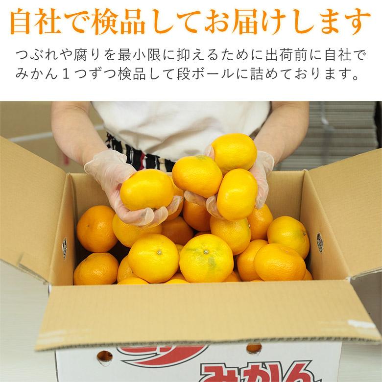 送料無料 安心の自社検品 サイズお任せ 約4kg 温州みかんキズあり和歌山みかん 唐津みかん 福岡みかん 熊本みかん みかん 国産 国産みかん