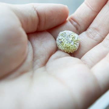 手工刺繡耳環・日光雨