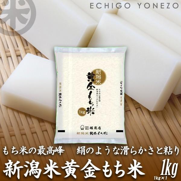 [新米 令和5年産] 新潟産黄金もち米 1kg (1kg×1袋) 黄金餅米 100％ 新潟県 新潟米 もち米 餅米 お米 おもち 堀商店 送料無料