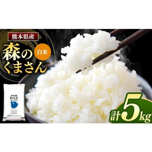 ふるさと納税 熊本県 和水町 熊本県産 森のくまさん 白米 5kg