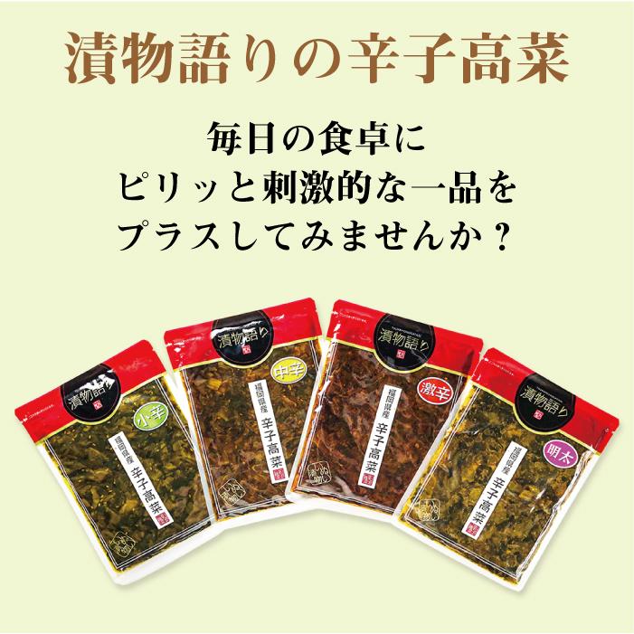 送料無料！イヌイの福岡県産辛子高菜「漬物語り」小辛3袋セット 160g×3袋セット