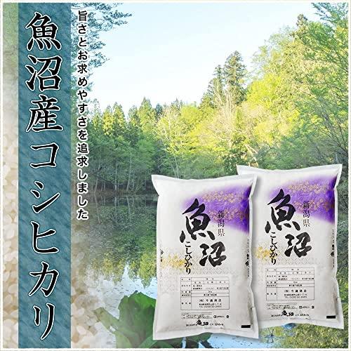 新潟県産 魚沼産コシヒカリ 白米 10kg (5kg×2 袋) 令和5年産