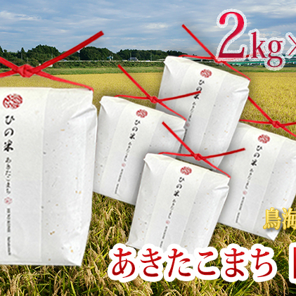 秋田県産 あきたこまち 玄米 10kg（2kg×5袋）神宿る里の米「ひの米」（お米 小分け）