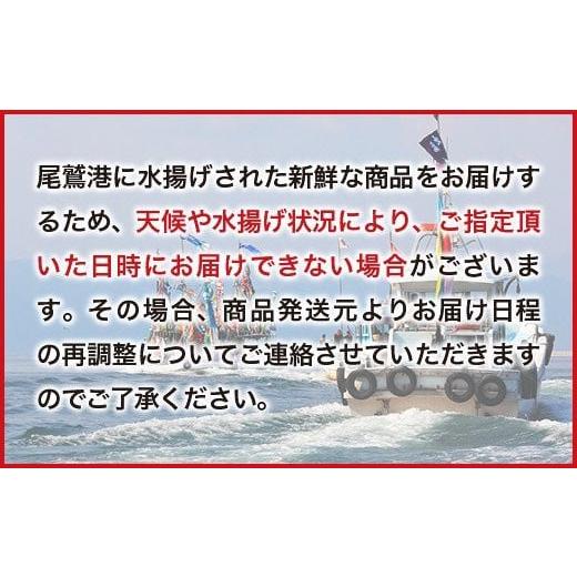 ふるさと納税 三重県 尾鷲市  贅沢魚介だし！漁師の水炊き鍋セット　5人前　HA-4