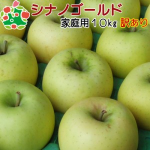 りんご 訳あり 青森県産 シナノゴールド 家庭用 キズあり 10kg 送料無料 産地直送 産直自宅用 ワケあり お試し 試食 食べ物 旬の くだも