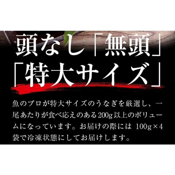 海鮮 ギフト ウナギ蒲焼き 海鮮 セット 約4人前 海鮮福袋 食べ物 おつまみ 鰻 お取り寄せ 送料無料