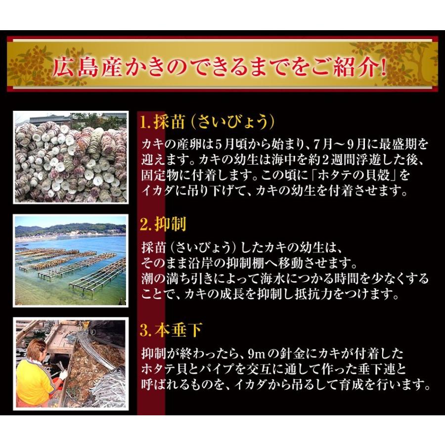 かき 牡蠣 2kg 1kgあたり2899円 2L ジャンボ 広島かき 剥き身2kg 正味1.7kg 広島県能美島周辺 清浄海域産 広島かき 約60粒 剥身 IQF個別冷凍 加熱用