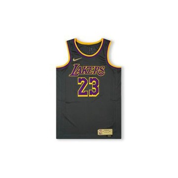 NIKE NBA Swingman LeBron James Lakers 球衣 球迷版 湖人 CN9929-013