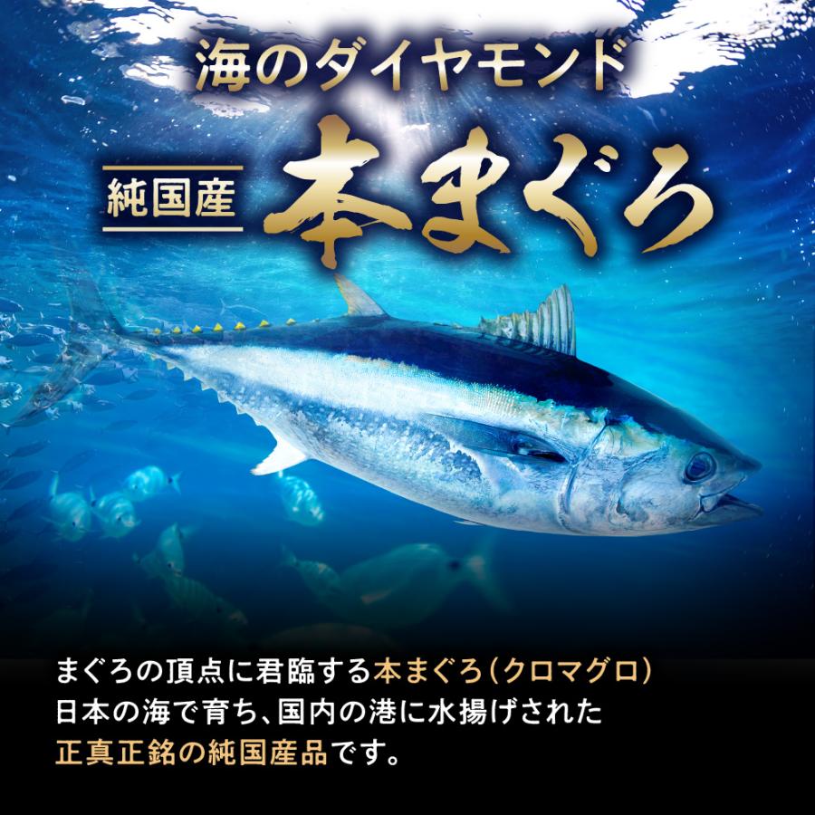 マグロテール 本まぐろテールステーキ 希少部位 冷凍テール1kg (2〜4枚) 純国産天然本鮪 お歳暮 プレゼント ギフト 年末年始 海鮮バーベキュー  送料無料