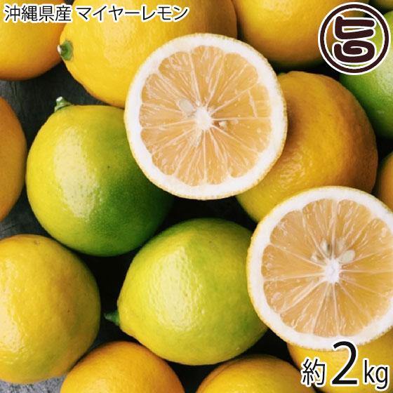 沖縄県産 マイヤーレモン 2kg 10〜16玉