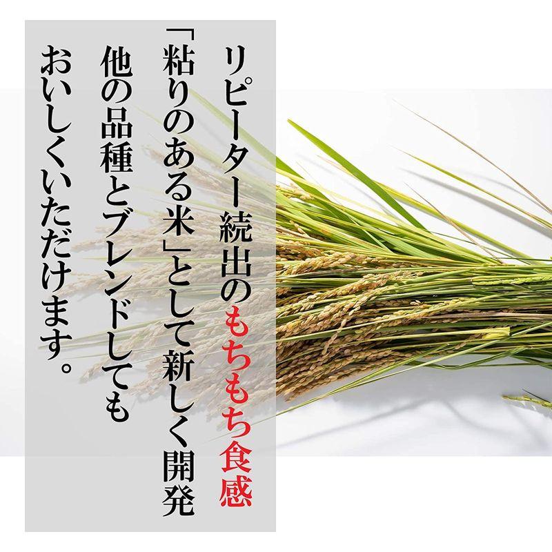 米 新米 新潟県産ミルキークイーン(無洗米) (5kg)令和4年産